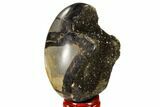 Septarian Dragon Egg Geode - Black Crystals #118721-1